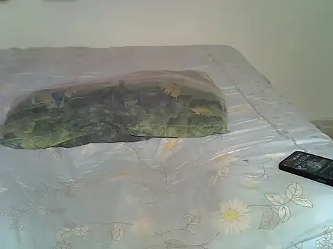 Baddiepixxie's cam snapshot