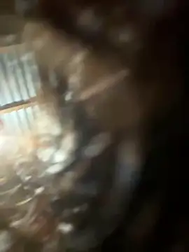 diamore3377's cam snapshot