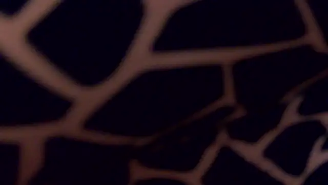 LadyTouch's cam snapshot