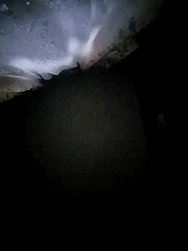 Lana-murr live sex cam