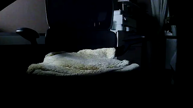 suedel65's cam snapshot