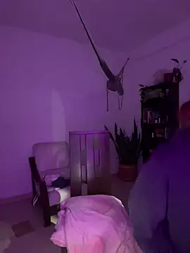 sarita_bibies19 live sex cam