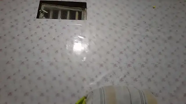 Roselingalvis13's cam snapshot