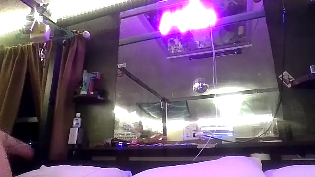 mileslongdeep's cam snapshot