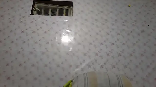 Roselingalvis13's cam snapshot