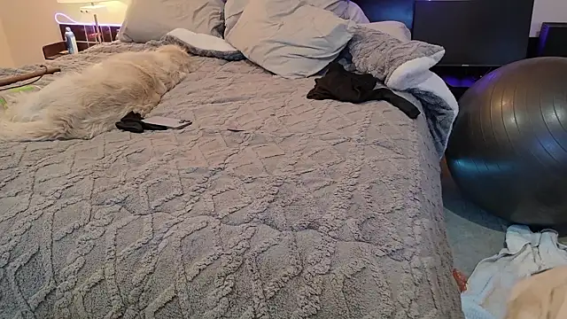 klownman1 live sex cam