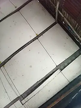 Lin-kute98's cam snapshot