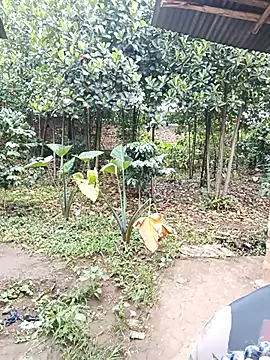 holygrail001's cam snapshot