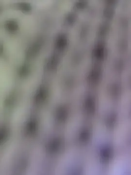 Hot-Sana2's cam snapshot