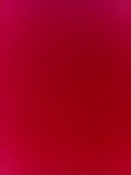 Aley-y's cam snapshot