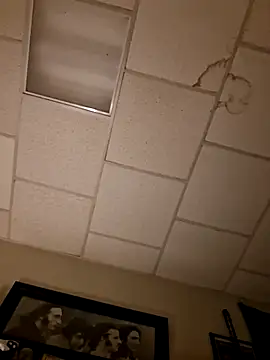 curiouscock38 live sex cam