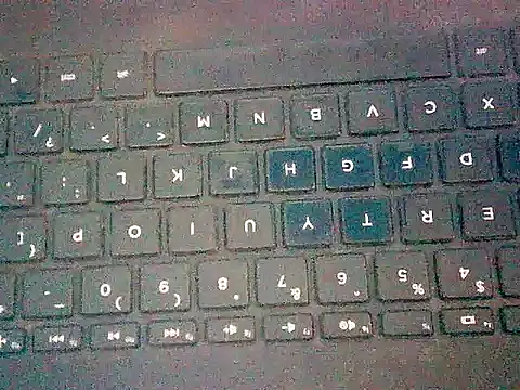 Wild_Paaro's cam snapshot