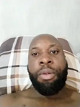 Stallion100 live sex cam