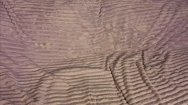 FoxFever live sex cam