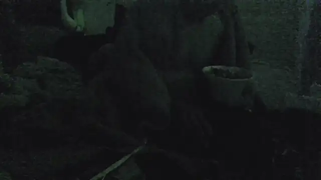 jaxx12369 live sex cam