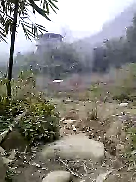 neko-nancy live sex cam