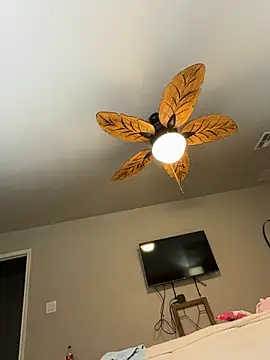 Texascoastedger live sex cam