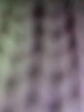 Hot-Sana2's cam snapshot