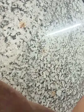 SashaPatel's cam snapshot