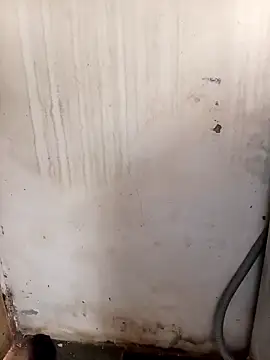 SexualPleasureXoXo live sex cam