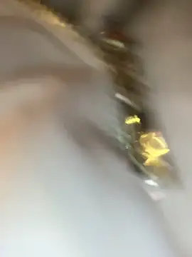 littleqiu9's cam snapshot