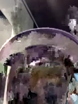 Kitten_Cam's cam snapshot