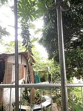 Jestebandiaz07's cam snapshot