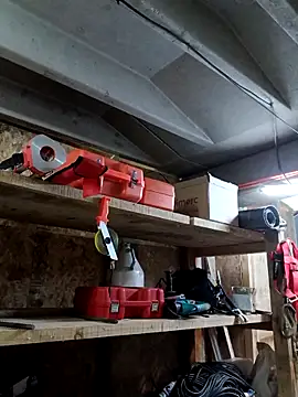 hotleon127 live sex cam