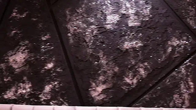 StephieRouse's cam snapshot