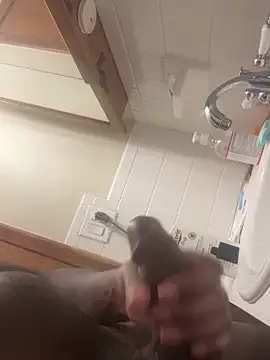 James816 live sex cam