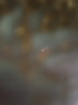 eveangelll's cam snapshot