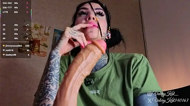 Valerykat_'s cam snapshot