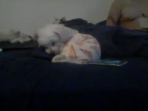 Silencio26 live sex cam