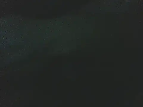 Alphamancum's cam snapshot