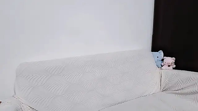 Fine-sand's cam snapshot