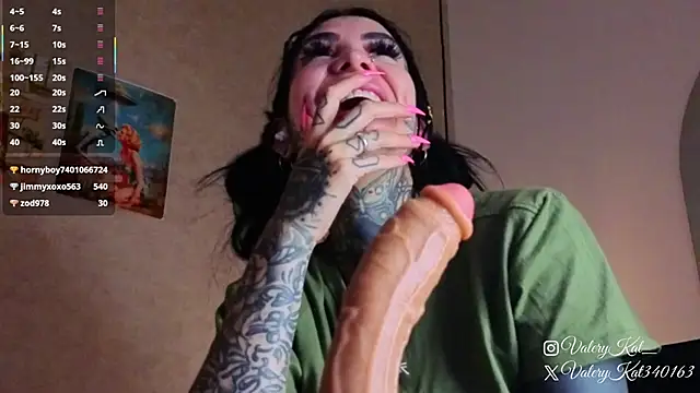 Valerykat_'s cam snapshot