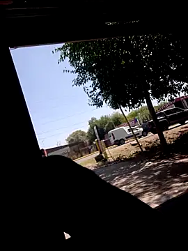 hecwil8 live sex cam