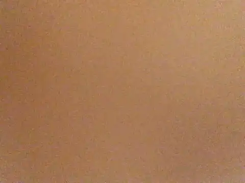 riseshu's cam snapshot