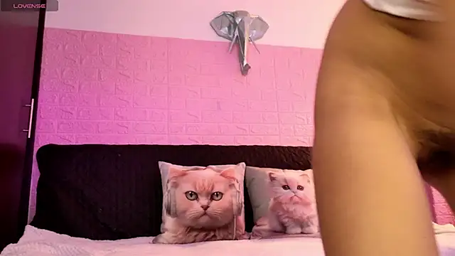 Dulce_Stormy live sex cam