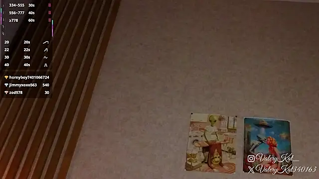 Valerykat_'s cam snapshot