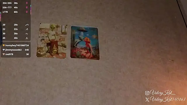 Valerykat_'s cam snapshot