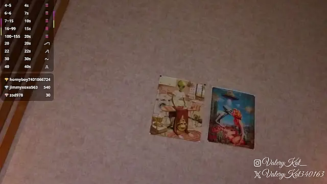 Valerykat_'s cam snapshot