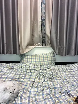 DMG-41's cam snapshot