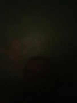 taylorWiiz live sex cam