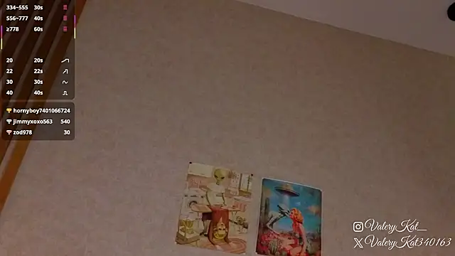 Valerykat_'s cam snapshot