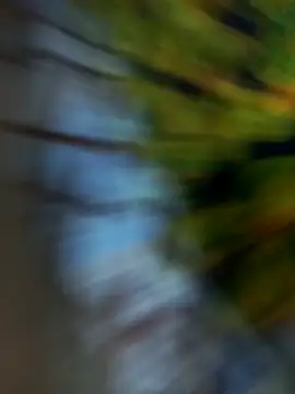 Kaptonko live sex cam