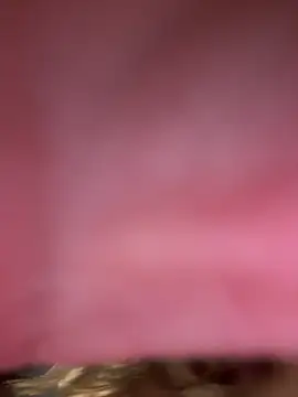 laarti's cam snapshot