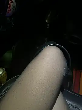 petoys's cam snapshot