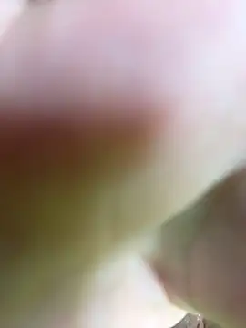 _ISABELLA_HOT_ live sex cam