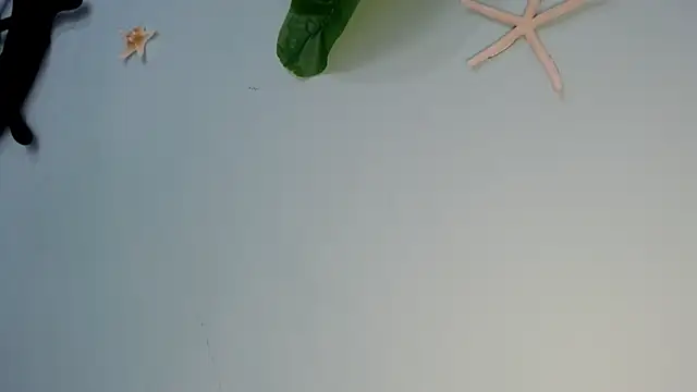 eladyrous98's cam snapshot